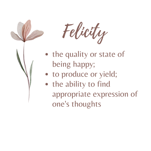 A sketch of a flower with the definition of 'Felicity' - the quality or state of being happy; to produce or yield; the ability to find appropriate expression of one's thoughts.
